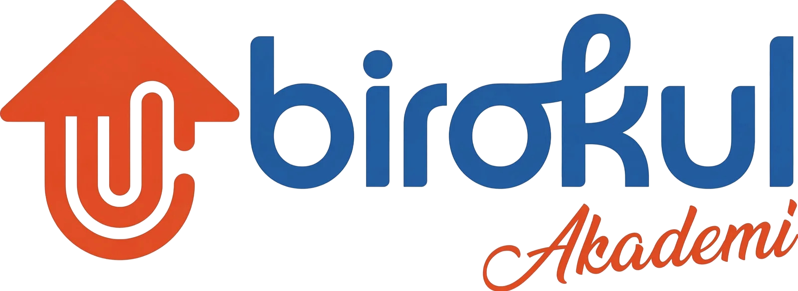 Bir Okul Akademi Logo