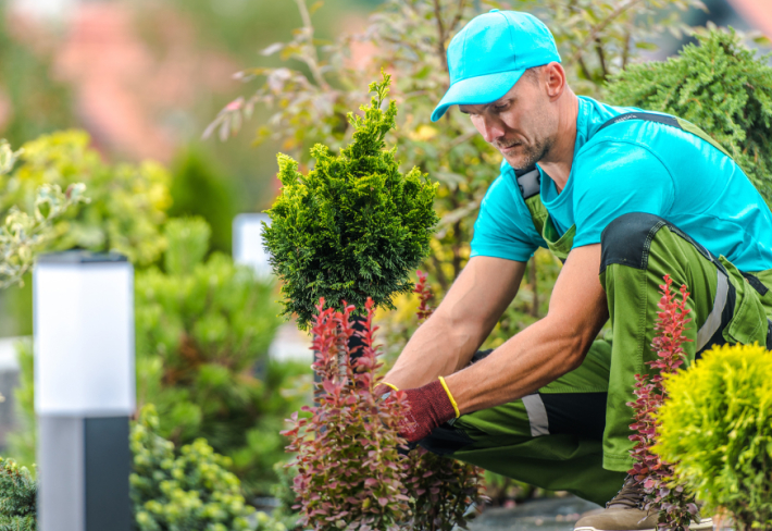 Bahçıvanlık Ustalık Eğitimi