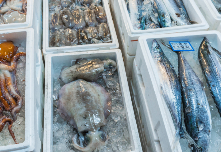 Balıkçılık ve Su Ürünleri Ustalık Eğitimi